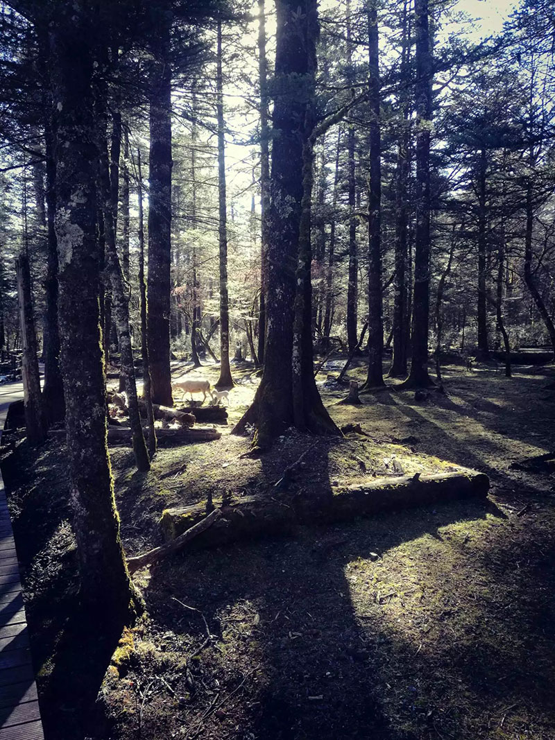 20170224114047_2400 20170224114047_2400
